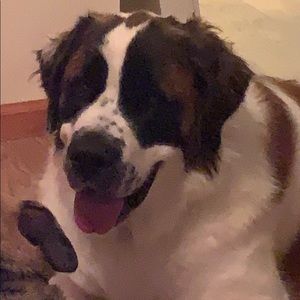 Meet your Posher, Brianne